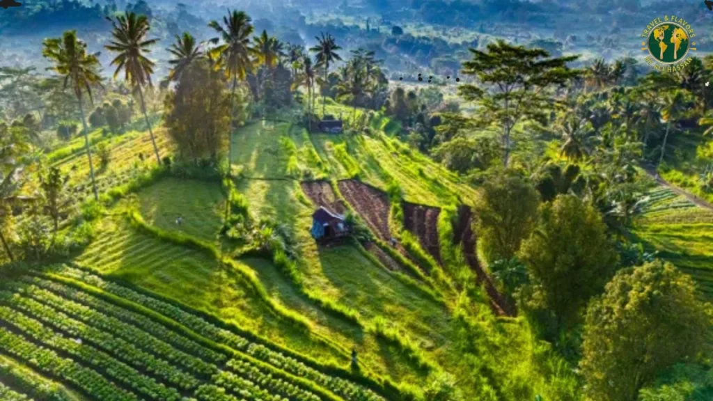 Sidemen – Bali’s Hidden Gem