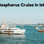 View from a Bosphorus cruise boat in Istanbul with the Bosphorus Bridge and city skyline